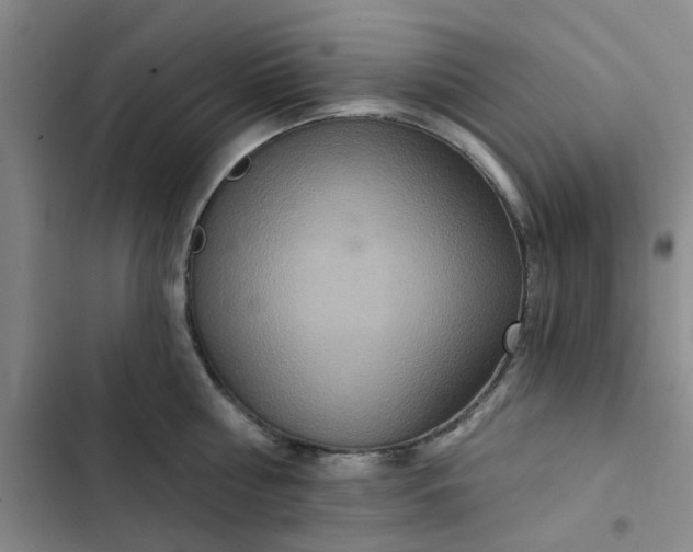 X0000102500810200808221752