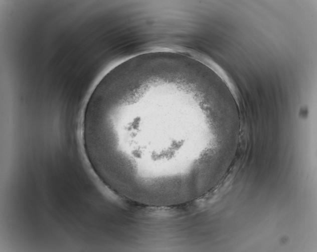 X0000102500811200808221752