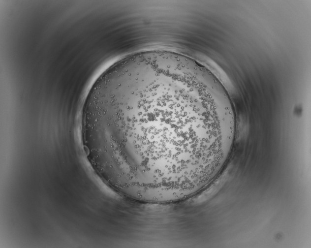 X0000102500812200808221752