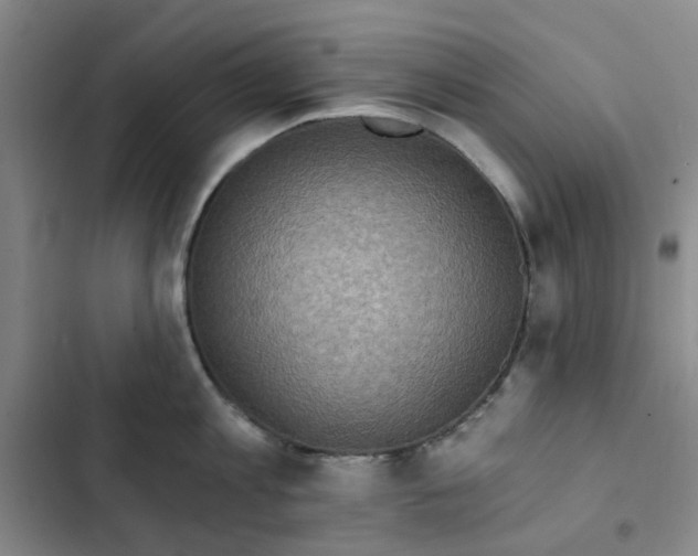 X0000102500813200808221752