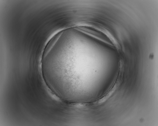 X0000102500814200808221752