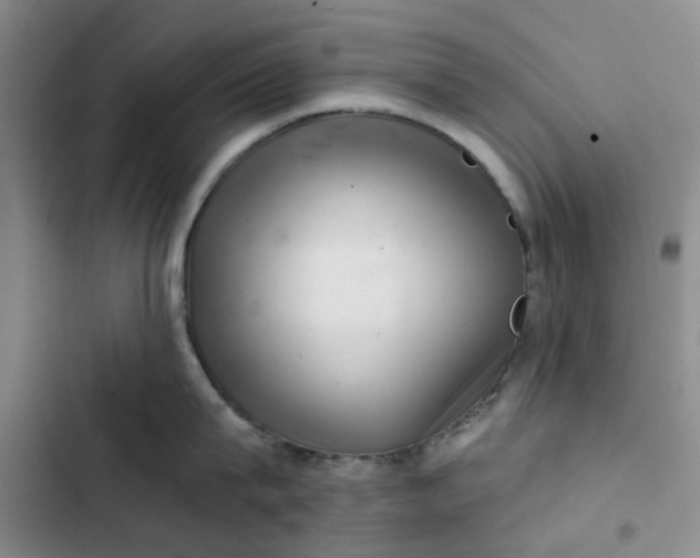 X0000102500815200808221752