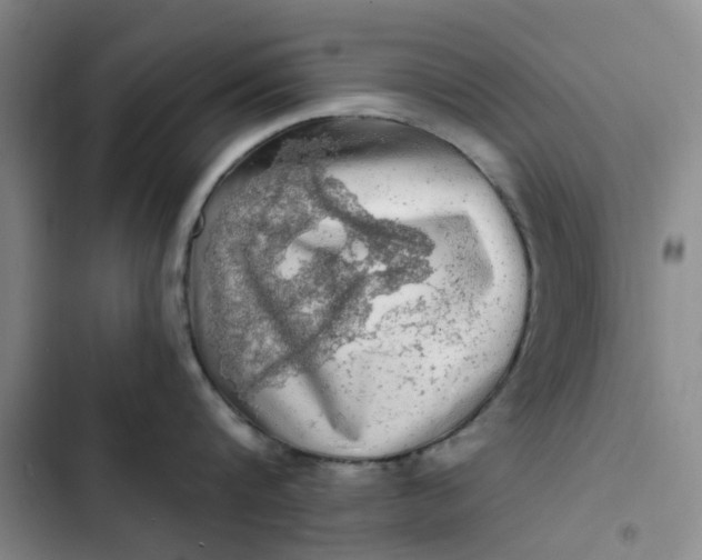 X0000102500816200808221752