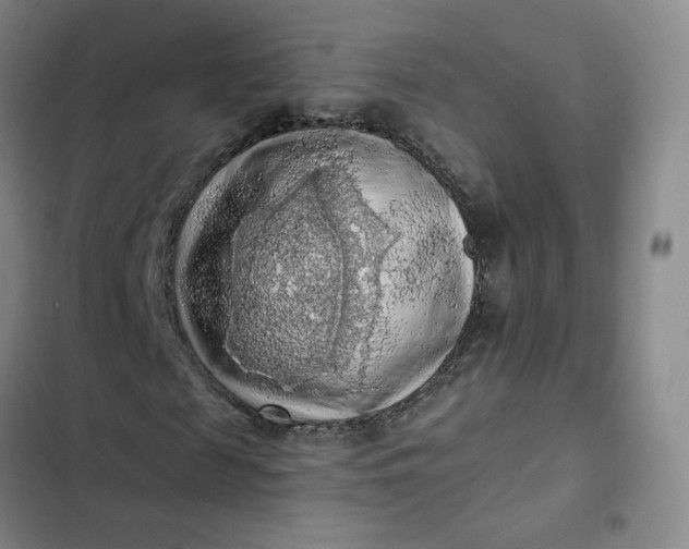 X0000102500817200808221751