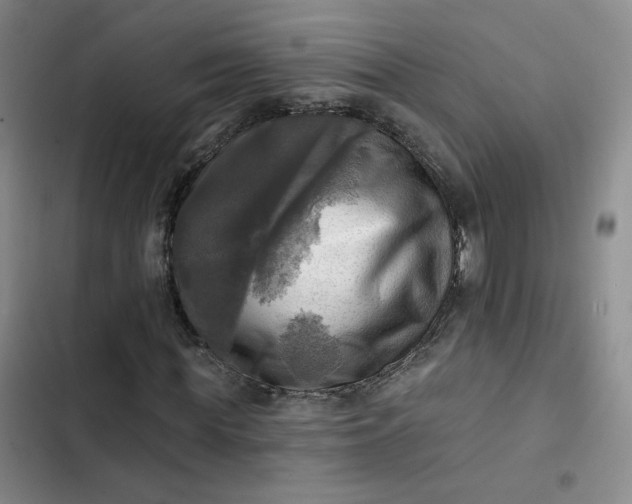 X0000102500819200808221751