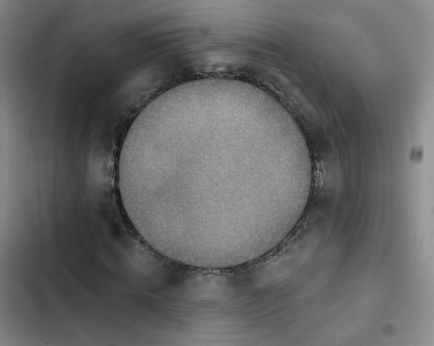 X0000102500820200808221751