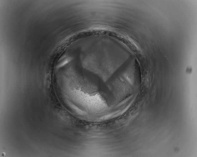 X0000102500821200808221751