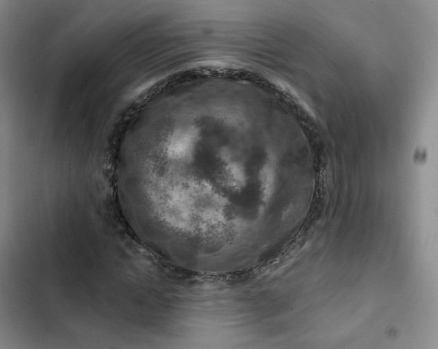 X0000102500822200808221751