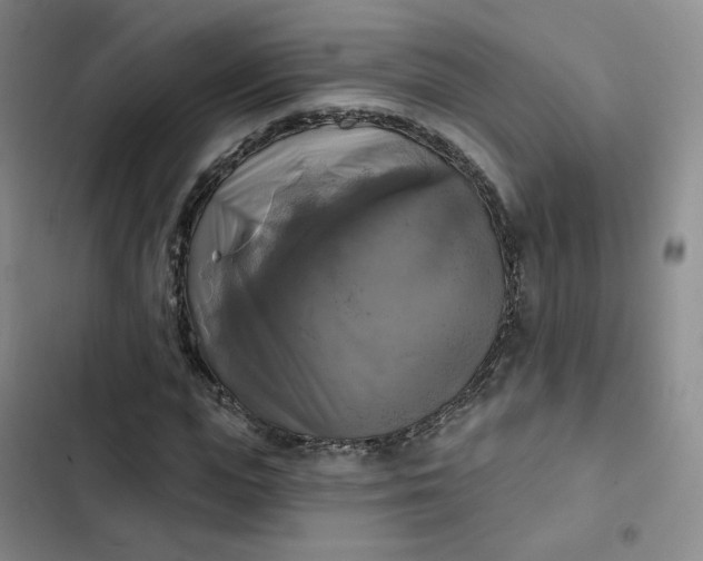 X0000102500823200808221752