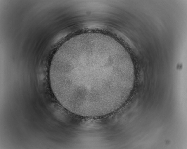 X0000102500824200808221752