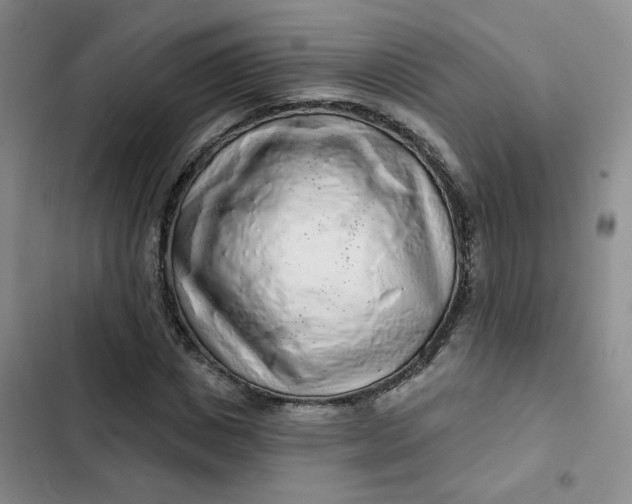 X0000102500825200808221752