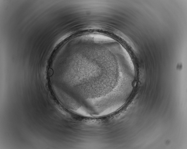 X0000102500826200808221752