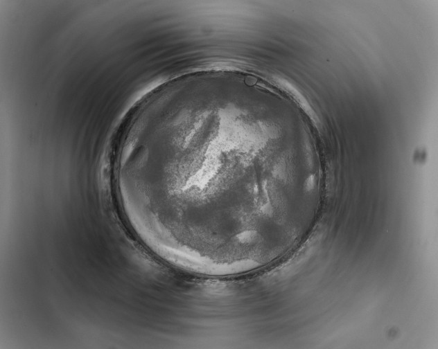 X0000102500827200808221752