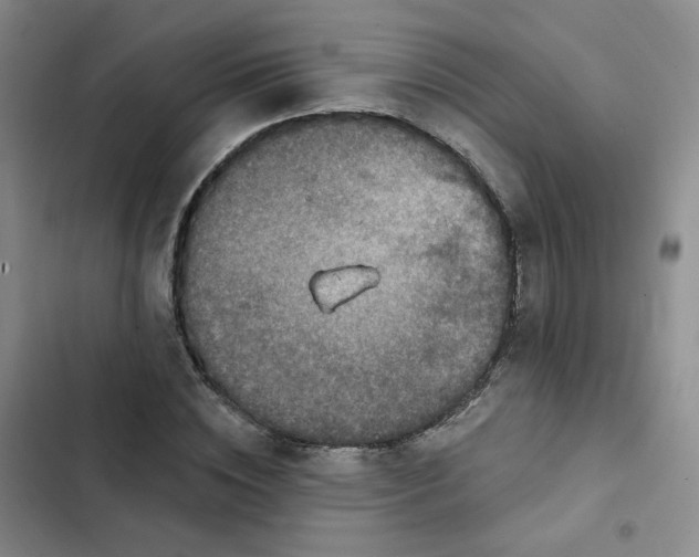 X0000102500828200808221752