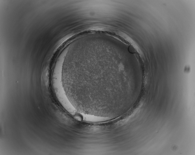 X0000102500829200808221752