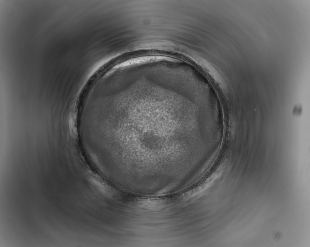 X0000102500830200808221752