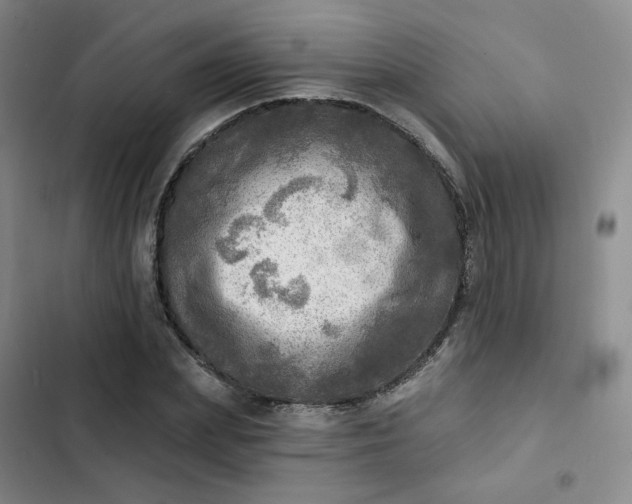 X0000102500831200808221752