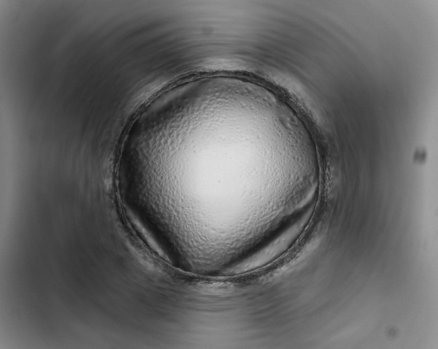 X0000102500833200808221752