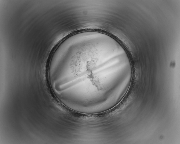 X0000102500834200808221752