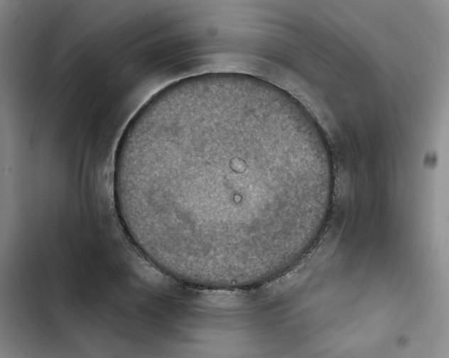 X0000102500836200808221752