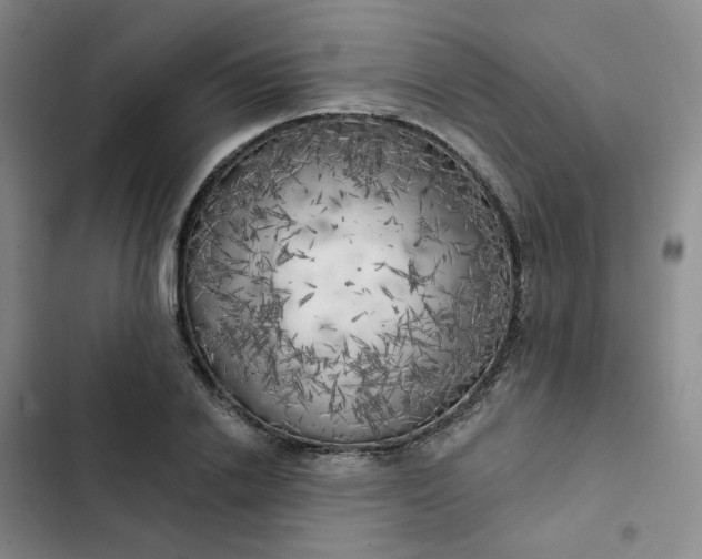 X0000102500838200808221752