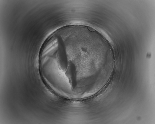 X0000102500839200808221752