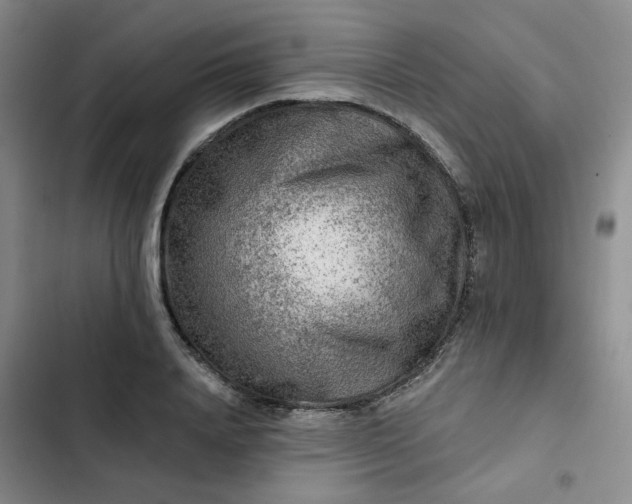 X0000102500840200808221752