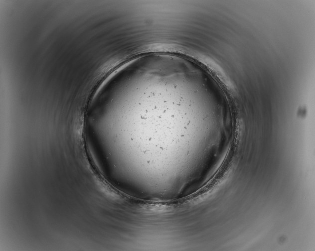 X0000102500841200808221752