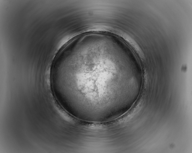 X0000102500842200808221752