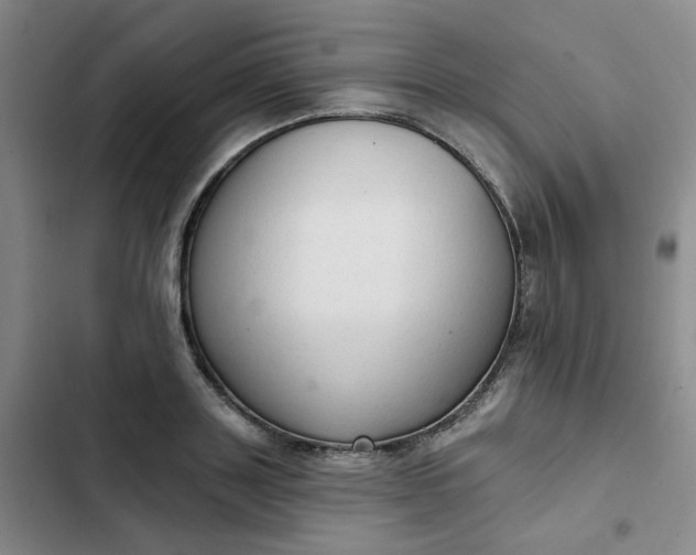 X0000102500843200808221752