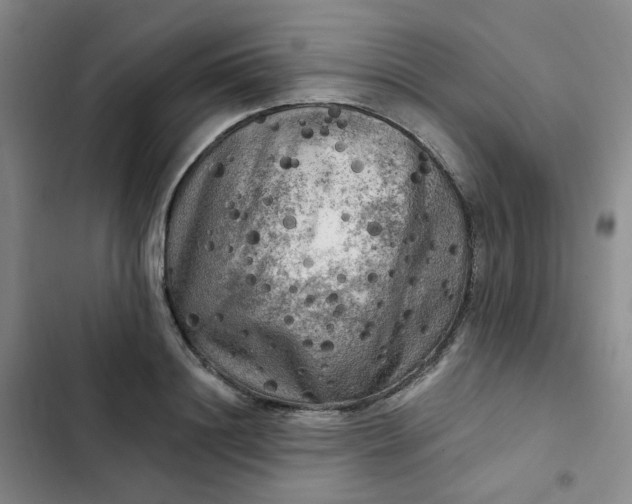 X0000102500844200808221752