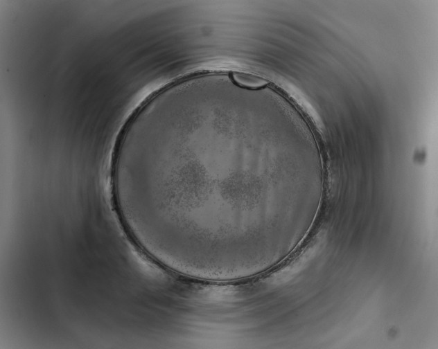 X0000102500845200808221752