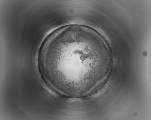 X0000102500846200808221752