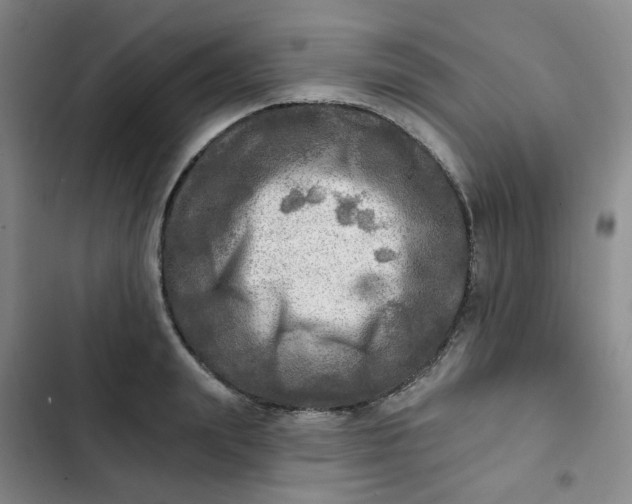 X0000102500847200808221752