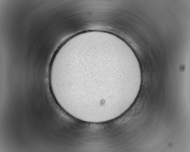 X0000102500848200808221752