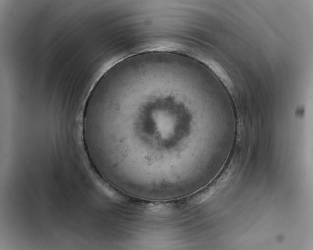 X0000102500850200808221752