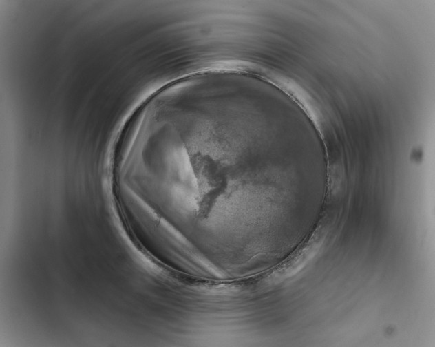 X0000102500851200808221752