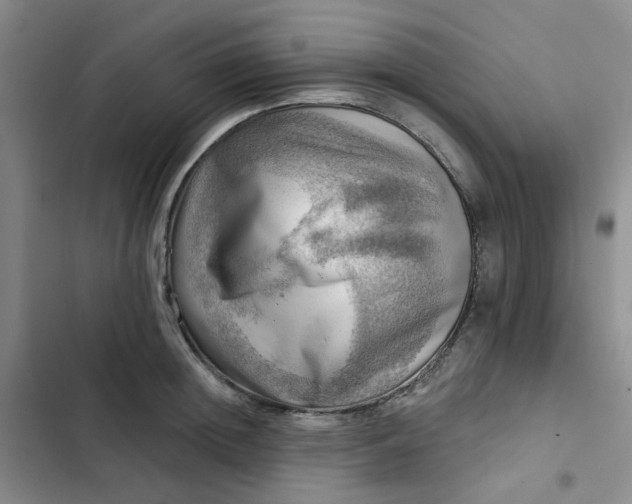 X0000102500852200808221752