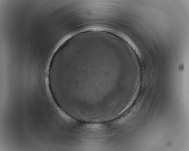 X0000102500853200808221752