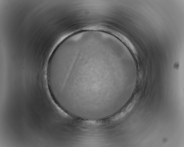 X0000102500855200808221752