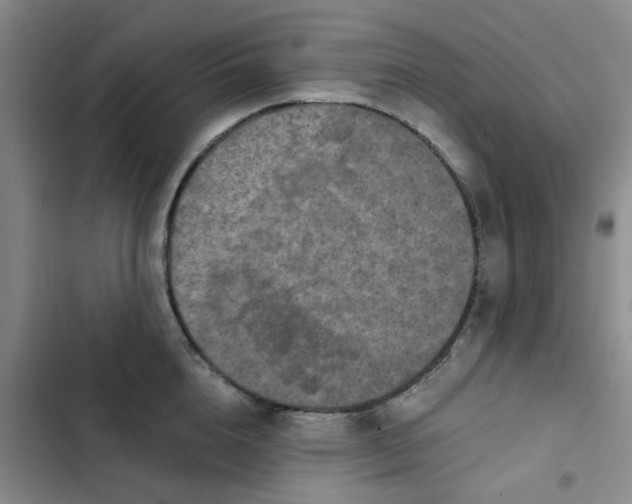 X0000102500856200808221752