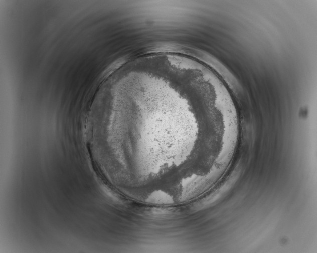 X0000102500857200808221752