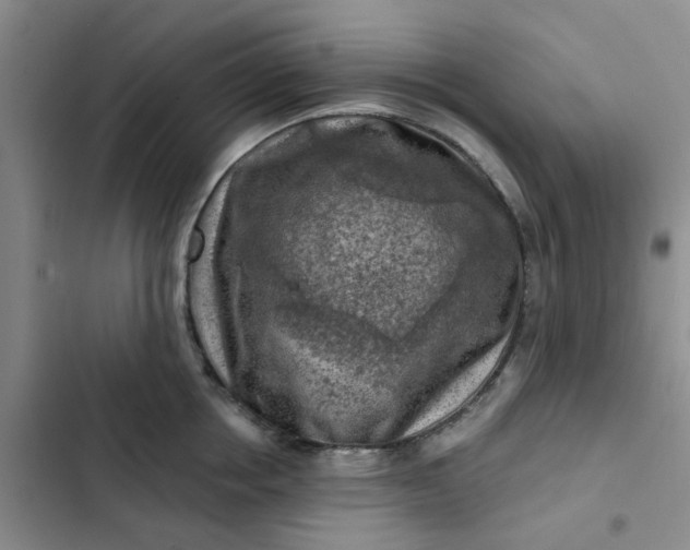 X0000102500858200808221752