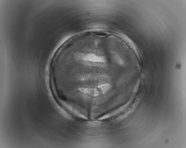 X0000102500859200808221752