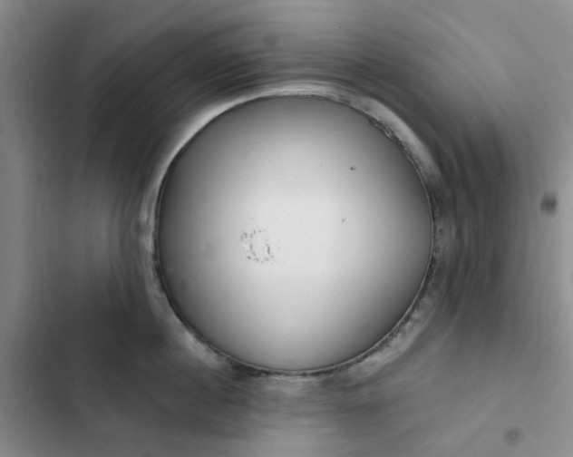 X0000102500860200808221752