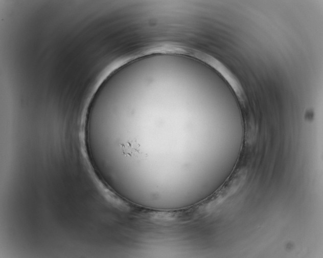 X0000102500861200808221752