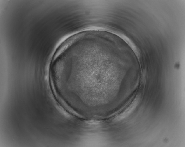 X0000102500862200808221752