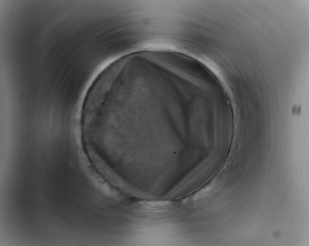 X0000102500864200808221752