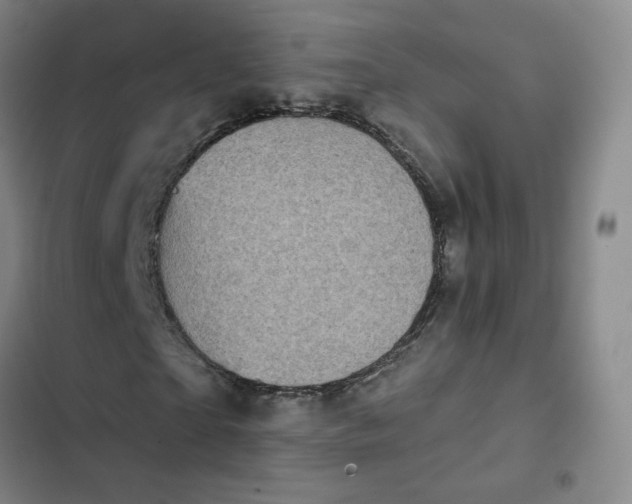 X0000102500865200808221751