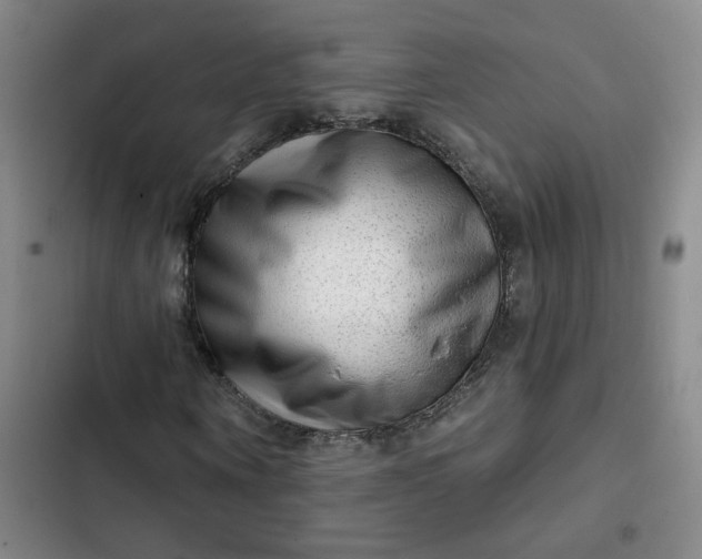 X0000102500866200808221751